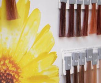 Friseur Salon Hair & Nail Dreams Hofmann